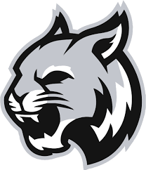 Jasper Troupsburg Wildcats Logo