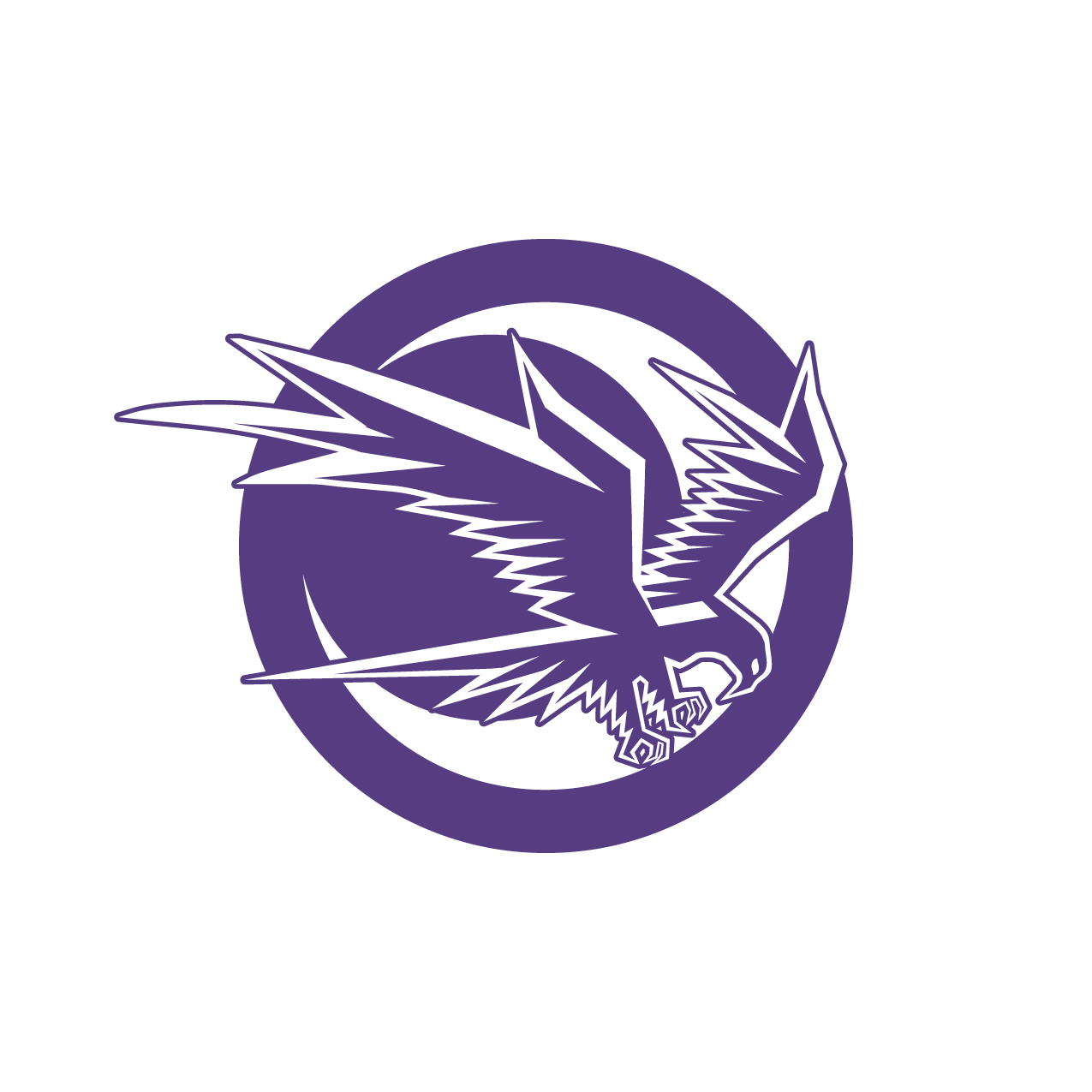 West Canada Valley Nighthawks Logo