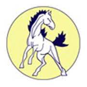 Colton-Pierrepont Colts Logo
