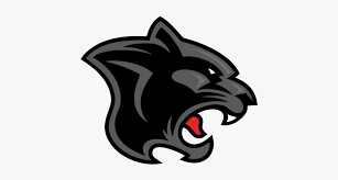 NE Douglas Panthers Logo
