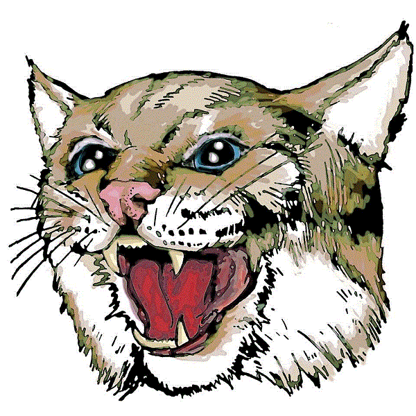Sherman Wildcats Logo