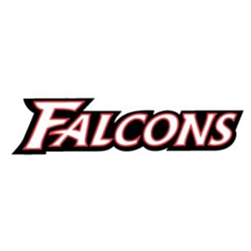 Niagara-Wheatfield Falcons Logo