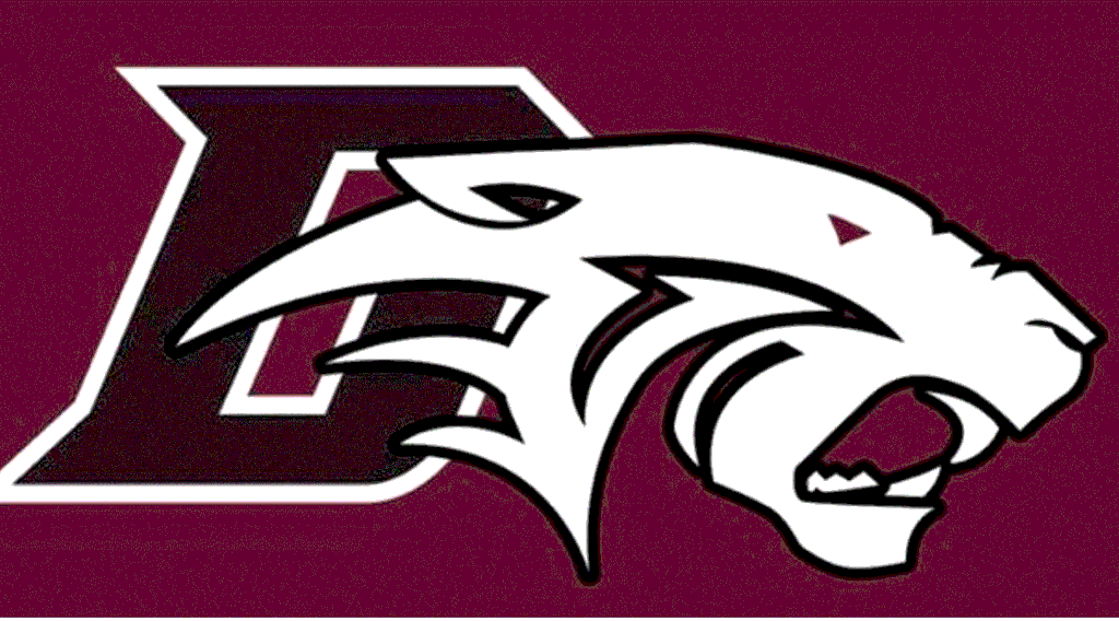 Dunkirk Marauders Logo
