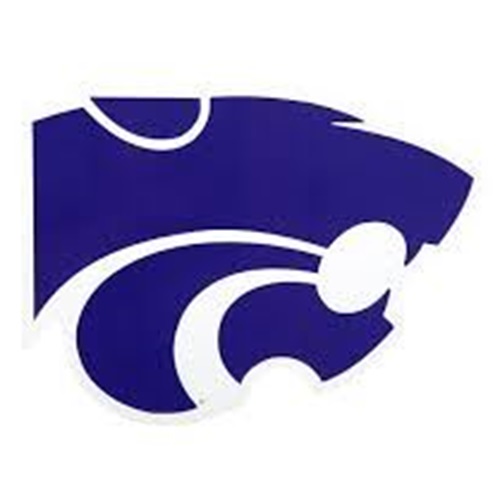 Depew Wildcats Logo