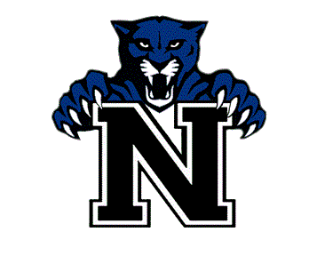 Newfane Panthers Logo