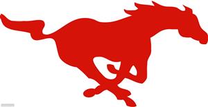 Medina Mustangs Logo