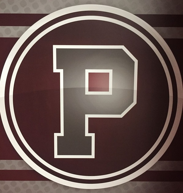 Portville Panthers Logo