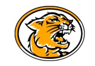 Franklinville Panthers Logo