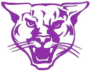 Pine Valley Panthers Logo