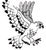 South Lewis B  Logo