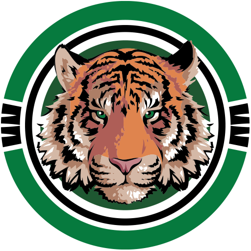Hudson Falls Tigers Logo