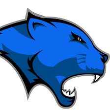 Hoosick Falls Panthers Logo