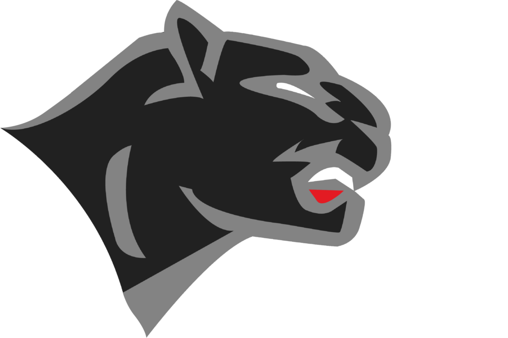 Chatham Panthers Logo