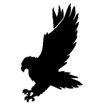 Northville Falcons Logo