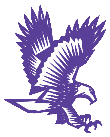 Downsville  Logo
