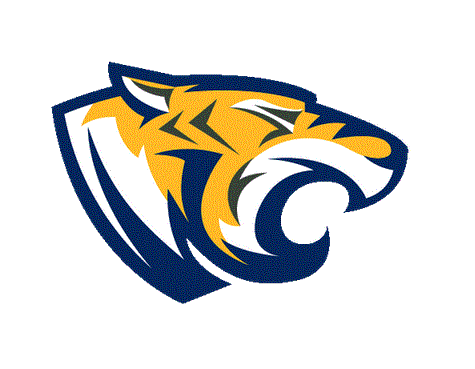 Tioga Tigers Logo