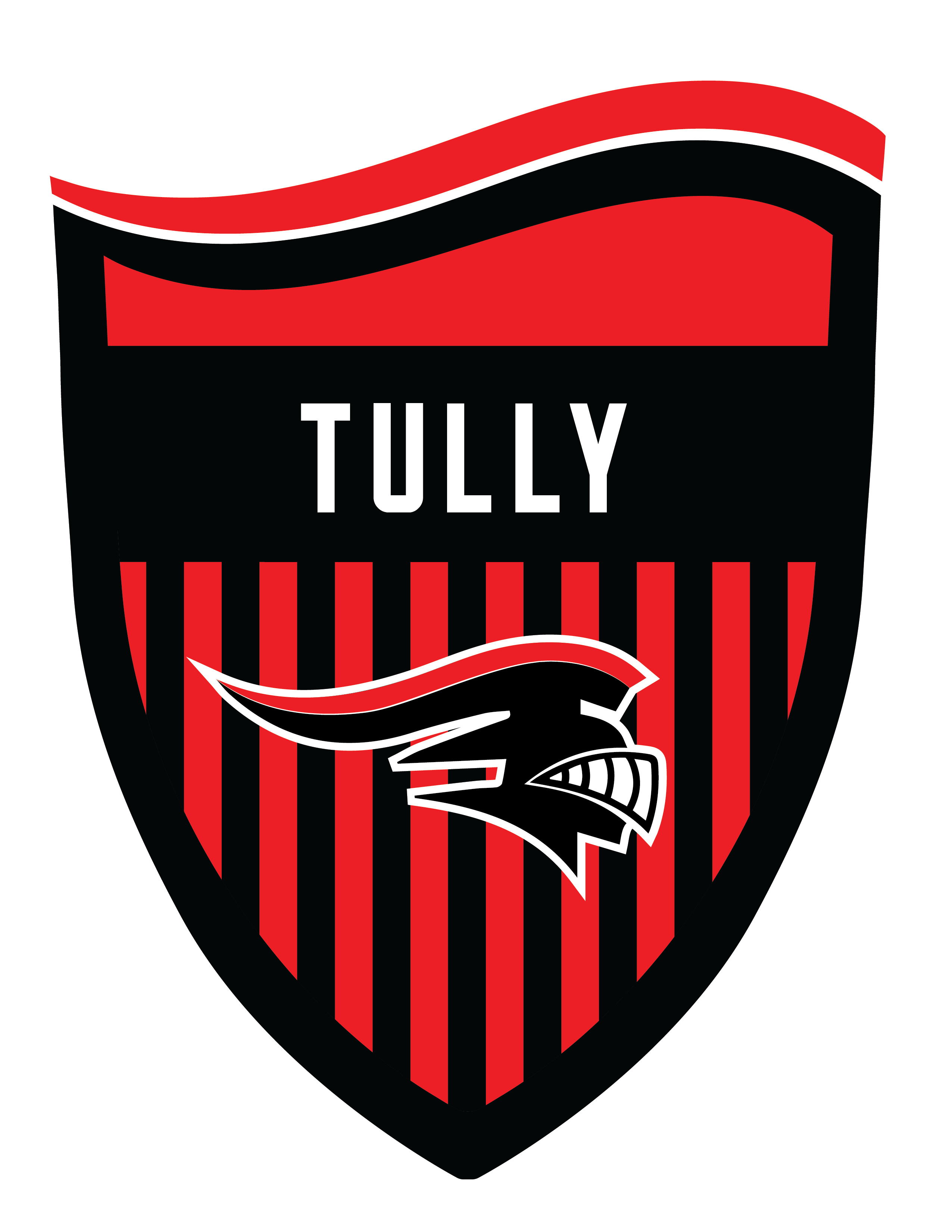 Tully Black Knights Logo