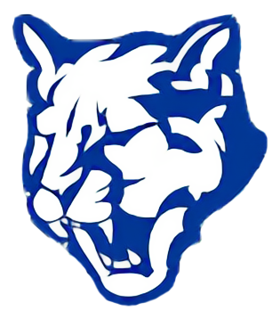 Owen D. Young/Richfield Springs Wildcats Logo