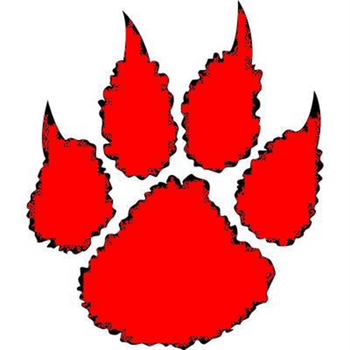 Wilson Magnet Wildcats Logo