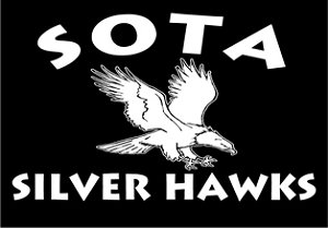 School of the Arts Silverhawks Logo
