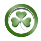 Salmon River Shamrocks Logo