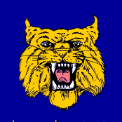 Gouverneur Wildcats Logo