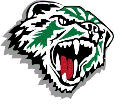 Edmeston Panthers Logo