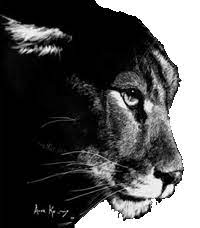 Edwards-Knox Cougars Logo