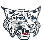 Charlotte Valley Wildcats Logo