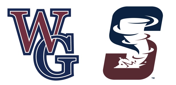 Watkins Glen/Odessa Montour Storm Logo
