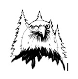 Bolton-Warrensburg Wild Eagles Logo