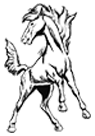 Morris Central School Mustangs Logo