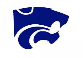 Susquehanna Valley Sabers Logo
