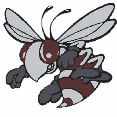 Byron-Bergen Bees Logo