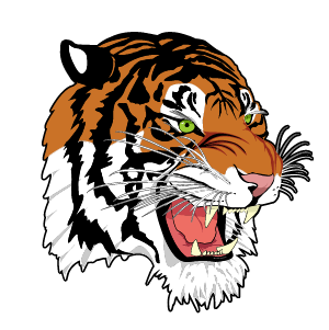 Lyndonville Tigers Logo