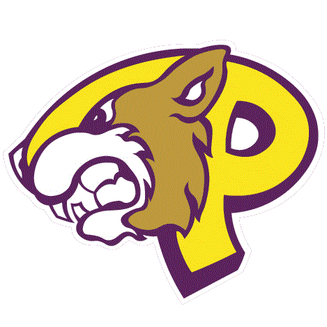 Pavilion Golden Gophers Logo