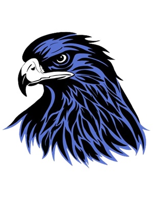 Hoosic Valley Hawks  Logo